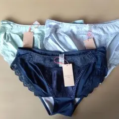 トリンプ アモスタイル クラシカルプリーツレース ショーツ L3枚(3630円)