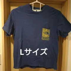 シュプリーム　ノースフェイス　Tシャツ
