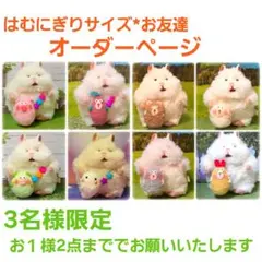 はむにぎり サイズ オーダー受付 ぬいぐるみ洋服 帽子 ポシェット