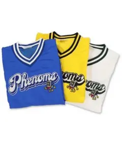 Phenoms Vネック ナイロンジャケット ブルーのサムネイル
