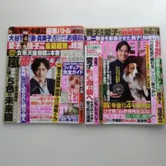 Item thumbnail for item 3f887b4d-96e1-44ea-95d0-83877b5a68f0