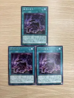 KOTOむ (プロフも見てちょ)様 リクエスト 2点 まとめ商品