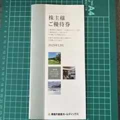 東急不動産ホールディングス　株主優待券