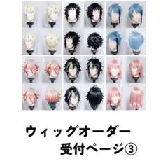 【受付ページ】コスプレ ウィッグ オーダー 納期 2月〜