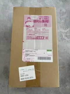 【シュリンク付き】ポケモンセンター　トウホク　スペシャルBOX