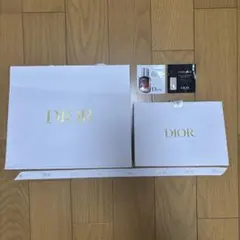 Dior ショップ袋2点セット リボン・サンプル付き