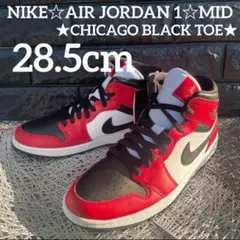 NIKE☆AIR JORDAN★CHICAGO BLACK TOE★28.5cm