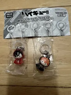 ハイキュー!! めじるしアクセサリー 2種セット