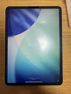 iPad Pro (11インチ) 64GB Wi-Fi