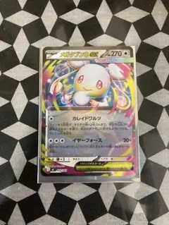 メガタブンネEX RRホロ仕様