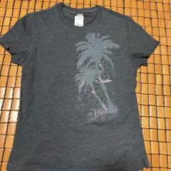 《ハワイ　ABC STOREで購入》 新品 ハワイアン柄Tシャツのサムネイル