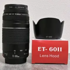2026年最新】canon 望遠レンズ 中古の人気アイテム - メルカリ