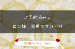 ꕤ449】はるか『訳あり品』現品で終了‼ 熊本みかん（20kg） - メルカリ