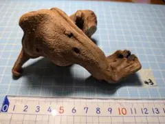 ミニ根っこ流木 大43