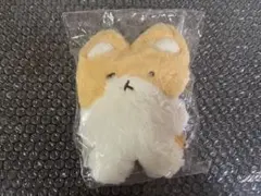 2025年最新】トレギぬいぐるみマグネットの人気アイテム - メルカリ