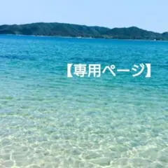 【専用ページ】 貝殻 おまとめ４点☆