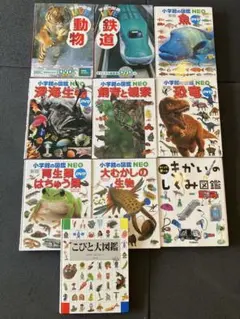 学研の図鑑2冊、小学館の図鑑NEO6冊、きかいのしくみ図鑑、こびと大図鑑まとめ売のサムネイル