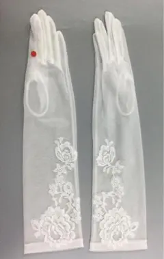 アールイズ グローブ