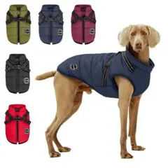 Item thumbnail for item fbdac4a4-6a4c-4923-9ffd-295cd275f275