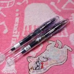 PILOT万年筆 2本セット