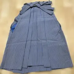 Item thumbnail for item 091060ed-e68d-4947-be02-aec0fd9cd3c5