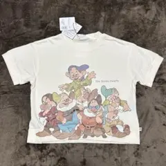 110 新品　ディズニー