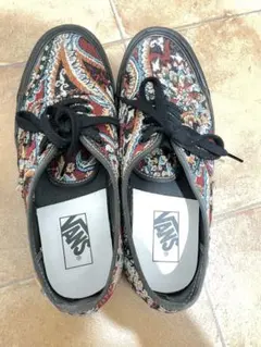 Vans authentic 30cm 激レア インディアン バッファロースカル - メルカリ