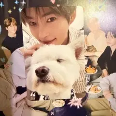 ZB1 ZEROBASEONE トレカ　レオ　ハンビン