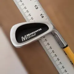 Momentus Golf Power Trainer