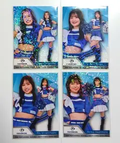 bbm 2025 チアリーダー 日本ハム パラレル 4枚