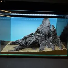 龍王石セット① ※親石以外 2025年最新】龍王石 親石の人気アイテム - メルカリ