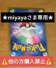 ★miyayaさま専用★⚠️他の方購入禁止⚠️