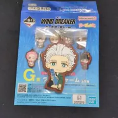 2026年最新】WINDBREAKER梅宮一の人気アイテム - メルカリ