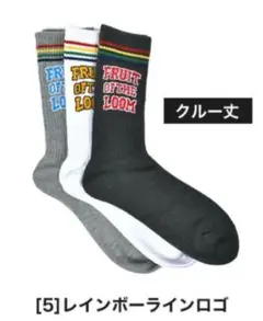 FRUIT OF THE LOOM レインボーラインソックス 25-27cm