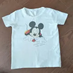 INSECT COLLECTION　ミッキーTシャツ 白　カマキリ先生