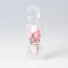 Item thumbnail for item bc506d81-f320-42da-b6b0-d46bf6a7beed