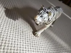 ホワイトタイガー フィギュア 動物 ミニチュア