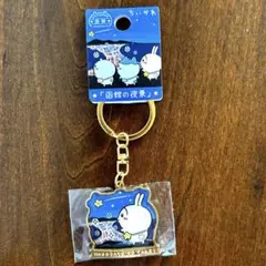 ちいかわ　うさぎ　ご当地　北海道　函館の夜景　限定　土産　キーホルダー　お土産