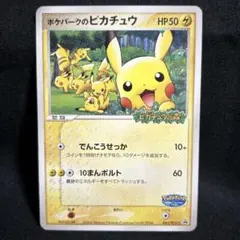 ポケパークのピカチュウ PROMO PCG-Pプロモカード 043/PCG-P