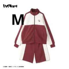 新品未開封】 ラブライブ！サンシャイン！！Aqours 浦の星女学院