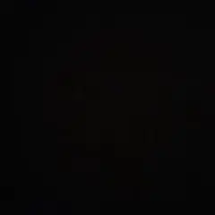 いぬ様専用出品