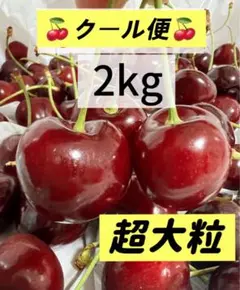 つ*さ様 アメリカンチェリー 8キロ 11.5R - メルカリ