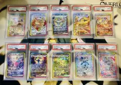 【オールPSA10・10連番】ブイズSAR テラスタルフェスex 10枚