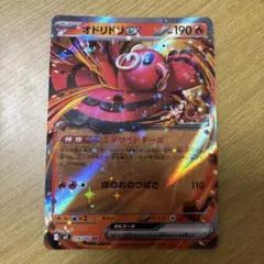 オドリドリEX ポケモンカード