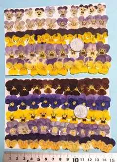 みつろう様 リクエスト 2点 まとめ商品