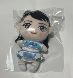 【まりあ様専用】超ときめき♡宣伝部　辻野かなみ　ぬいぐるみ　2点セット