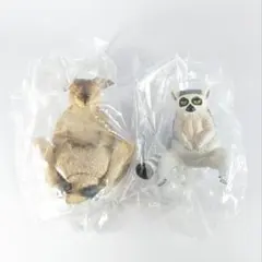 リーベンスタジオ アニマルフィギュアマスコット5 カンガルー ワオキツネザル