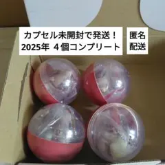リルリンリン　カプセルトイ　コンプリート　2025　４個　セット　未開封