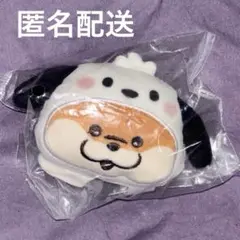 可愛い嘘のカワウソ×サンリオ　 ポチャッコ　ガチャガチャ