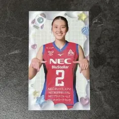 2026年最新】NECレッドロケッツ川崎の人気アイテム - メルカリ